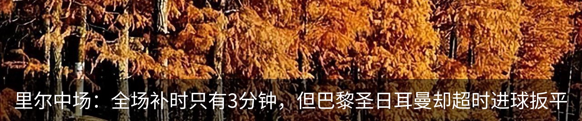 内页banner